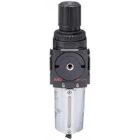 ARO Filter-Regulator: 2000 Series, 1/2 in NPT, 172 cfm, 0.3 micron, 0 psi to 140 psi, Manual Drain (MPN P39343-110)