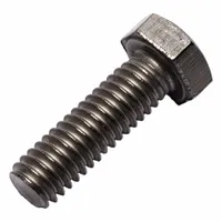 Hex Head Cap Screw: Titanium, Grade 2, Plain, 5/16"-18, UNC, 1 in lg, Fully Threaded, 1/2 in Head Wd (MPN 0107181)
