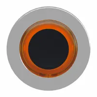 SCHNEIDER Flush Push Button: 30 mm Mounting Size, Metallic, Momentary (MPN ZB4FW953)