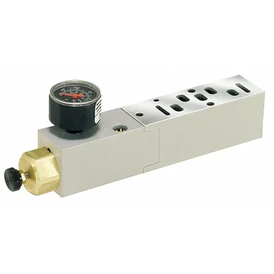 Parker Manifold Air Regulator: 0.55 cfm Max Flow Rate, 5 psi to 125 psi, 120°F Max Op Temp - Speedaire Sandwich Manifold Compressed Air Regulators