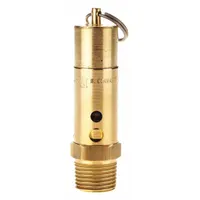 CONRADER Safety Valve: Hard Seat, 1/2 in (M)NPT Inlet (In.), 1/2 in (F)NPT Outlet (In.), Brass (MPN SRH375-1/2-225 SST)