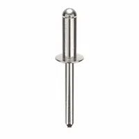 Blind Rivet,2 4/91" L,0.249" dia,PK100: Inch, 2 3/64 in Overall Lg, 23/32 in Body Lg, Dome, 100 PK (MPN AD88ABS203)