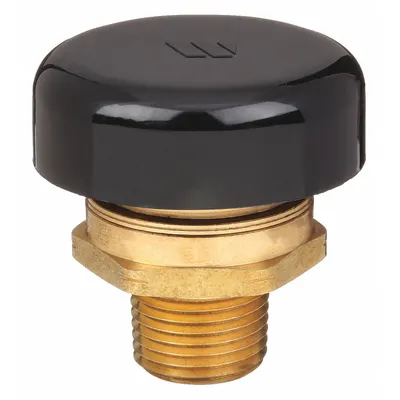 Watts 1/2 LF N36 Vacuum Release Valve, Brass, 1/2 in MNPT - Vacuum Release Valves
