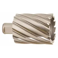 SLUGGER BY FEIN Annular Cutter: 2 15/16 in Cutter Dia, 2 in Max Cutting Dp, Bright, High Speed Steel (MPN 63134745002)