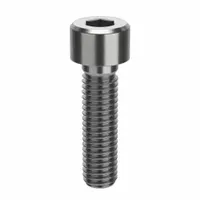 Socket Head Cap Screw: M8x1.25 Thread Size, 30 mm Lg, Std, NL-19, Stainless Steel, 18-8, 25 PK (MPN FBMSHCAPS812530P25)