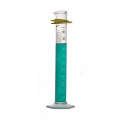Class A glass graduated cylinder with 100 mL capacity, calibrated to deliver (TD) with 1 mL graduation increments. Meets ASTM E438-92 (2011) and USP Type I specifications. Includes a protective bumper. Suitable for precise liquid measurement in laboratory settings.