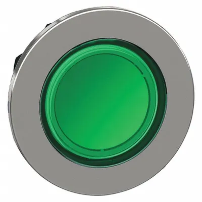 SCHNEIDER Flush Push Button: Green, 30 mm Mounting Size, Metallic - Illuminated Flush-Mount Push-Button Operators