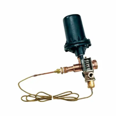 ARMSTRONG INTERNATIONAL D202123 Condensate Cooler - Condensate Coolers