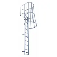 COTTERMAN Fixed Ladder with Safety Cage: 27 ft Overall Ht, 39 in Overall Wd, Steel, 24 Rungs (MPN F24WC C1)