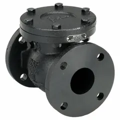 This cast iron inline swing check valve features a flange x flange connection for 2-1/2 in pipe. It prevents backflow in piping systems by automatically closing when flow reverses, suitable for horizontal or vertical installations.