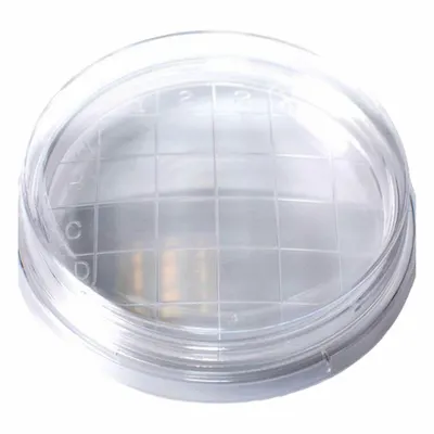 QORPAK Petri Dish: 64.77 mm Dia, 14.99 mm Overall Ht, No Surface Treatment, Convex Bottom - Petri Dishes