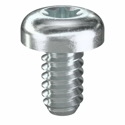 TAMPER-PRUF SCREW Machine Screw: #6-32 Thread Size, 1/4 in Lg, Steel, Zinc-Plated, Pan, Torx/Star - Pan Head Machine Screws