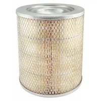 BALDWIN FILTERS Automotive Air Filter: Round-Oval, Engine, Round, Axial Seal, 9 in Overall Ht (MPN PA1613-S)
