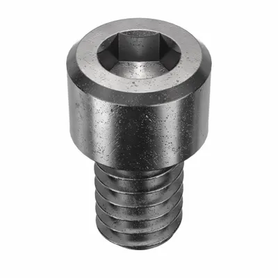 ARMOR COAT Socket Head Cap Screw: 1/4"-20 Thread Size, 3/8 in Lg, Std, Armor Coat - Inch System Standard Socket Head Cap Screws