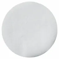 LABEXACT Glass Microfiber Filter: VSS, 9 cm Dia, 0.43 mm Thick, 1.5 um Pore Size