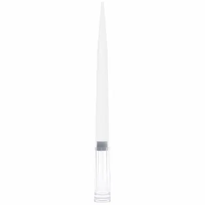 GLOBE SCIENTIFIC Filtered Pipette Tip: Sterile, 1,000 ul Capacity, Preconfigured Rack, Clear - Sterile Pipette Tips