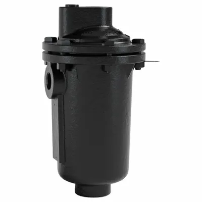 ARMSTRONG INTERNATIONAL Air Vent: Angle/In-line, Top Port, 3/4 in FNPT, For Steam, Cast Iron Body - Angled-Connection Vertical-Discharge Air Vents