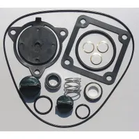 APPROVED VENDOR Seal Kit: Mfr Part # 24D044, Dayton