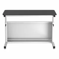 VERSADESK Standing Desk: Black, Wood, 48 in Overall Wd, 24 in Overall Dp, 36 in Max Desktop Ht (MPN CTL4824-WB)