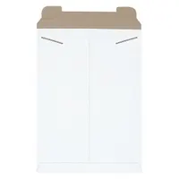 Mailer Envelopes: 13 in x 18 in, 13 in x 18 in, 0.028 in Material Thick, White, 100 PK (MPN RM6W)