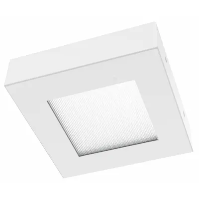 LUMINAIRE LED Square Surface Mount LED Fixture: 2,143 lm, 4000K, 25 W, 120/277V AC, Steel - Square Vandal-Resistant LED Lights