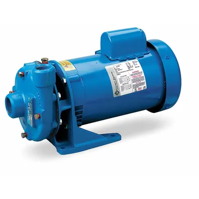 GOULDS WATER TECHNOLOGY Centrifugal Pump: 2 hp, 115/230V AC, 118 ft Max Head, 1 1/4 in - 2 to 3 HP Straight Centrifugal Pumps