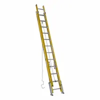 WERNER Extension Ladder: 24 ft Ladder Size, Fiberglass, 375 lb Load Capacity, 67 lb Wt, 2 Sections (MPN D7124-2LV)