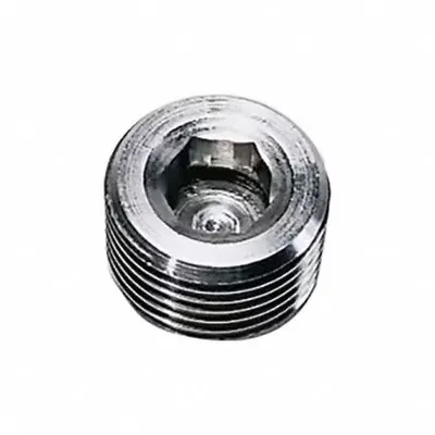 LEGRIS Plug: Hex Drive Cored Plug, 3/8 in, NPT Threaded, 316 Stainless Steel, 2,176 psi - High Pressure Precision Pipe Fittings