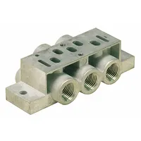 Pneumatic subbase with 1.1 Cv flow coefficient, two Female 1/4 in NPT ports, gasket interface, and 5 valve ports. Features side porting and IP65 rating. Used for mounting and connecting DX Series valves in industrial automation systems