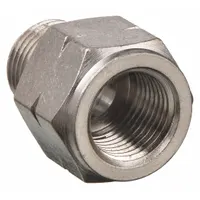 AIGNEP USA Metal Pipe Straight: Straight, 3/8 in x 3/8 in, Female NPT Threaded x Male BSPP Threaded (MPN 82242N-06-06)