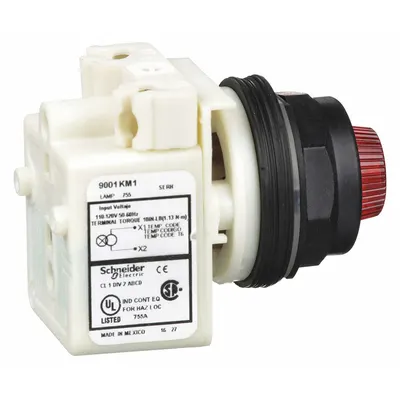 SCHNEIDER Pilot Light: 30 mm Panel Mounting Size, Red, Incandescent - Incandescent Pilot-Lights