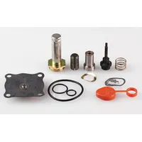 ASCO Valve Rebuild Kit (MPN 302335)