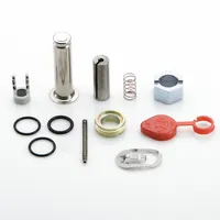 ASCO Valve Rebuild Kit (MPN 302120)