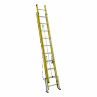 WERNER Extension Ladder: 20 ft Ladder Size, Fiberglass, 375 lb Load Capacity, 58 lb Wt, 2 Sections (MPN D7120-2LV)