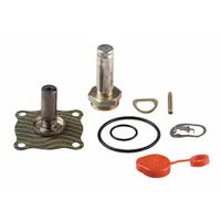 ASCO Valve Rebuild Kit (MPN 302328)