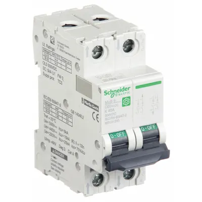 SCHNEIDER Supplementary Protector: 40 A Amps, 500V DC, 5kA at 250V DC, Screw Clamp - DC-Only Rated, 2-Pole UL1077 DIN Rail-Mount Supplementary Protectors