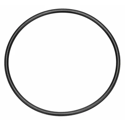 BALDWIN FILTERS O-Ring: Oil Filter, O-Ring, Buna-N, 9/32 in Lg - Oil Filter Accessories