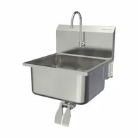 SANI-LAV Wash Station: 1 Stations, 10 in Bowl Dp, 19 in Bowl Lg, 16 in Bowl Wd, Faucet Included (MPN 515L-0.5)