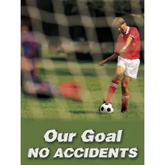 This 22 in x 17 in safety poster promotes a zero-accident goal in industrial workplaces. Printed in English with a clear film laminate protective coating for durability. Does not include a frame or write-on surface.