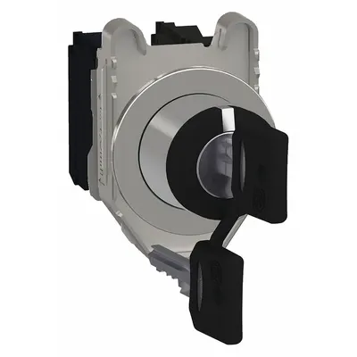 SCHNEIDER Selector Switch: 3 Position, 30 mm Panel Mounting Size, 2NO - Panel-Mounted Key Switches with Contacts