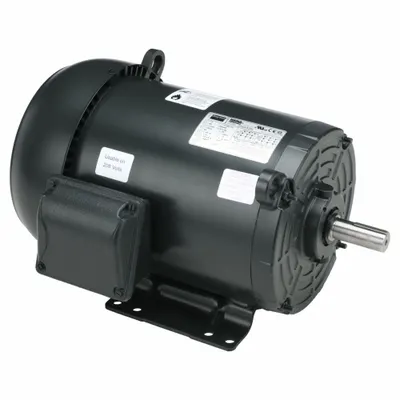 Dayton General Purpose Motor: Rigid Base Mount, Totally Enclosed Fan Cooled, 1 hp - Rigid Base 3-Phase General Purpose AC Motors