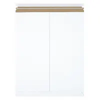 Mailer Envelopes: 17 in x 21 in, 17 in x 21 in, 0.02 in Material Thick, With Tear Strip, 100 PK (MPN RM7PS)