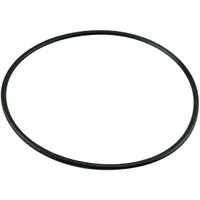 BALDWIN FILTERS O-Ring: Transmission Filter, O-Ring, Buna-N, 9/32 in Lg, 7 23/32 in Inside Dia. (MPN G206)