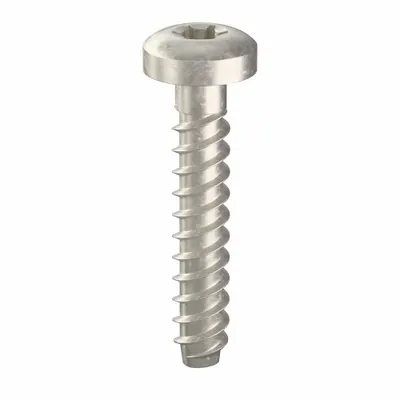 TAMPER-PRUF SCREW Sheet Metal Screw: #6 Size, 3/4 in Lg, Stainless Steel, Plain, Torx Plus - Pan Head Sheet Metal Screws