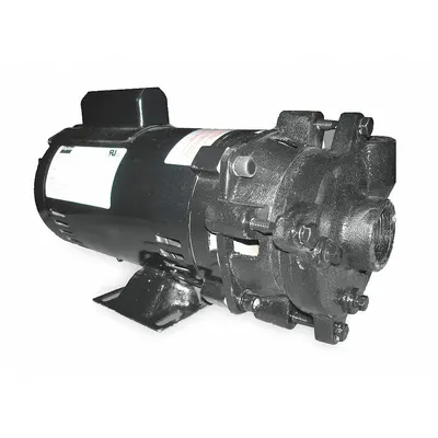 Dayton Centrifugal Pump: 3/4 hp, 115/230V AC, 50 ft Max Head, 1 1/4 in - 1/4 to 3/4 HP Straight Centrifugal Pumps