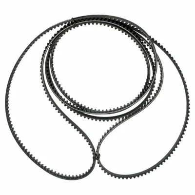 CONTINENTAL Timing Belt: One Side, Modified Curvilinear, Conti Falcon PD, 8 mm Pitch - GT Section Timing Belts