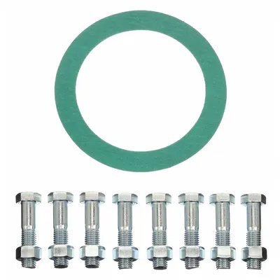 OEM Ring Flange Gasket: Class 150 - Aramid/Buna-N Ring Gaskets with Flange Bolts