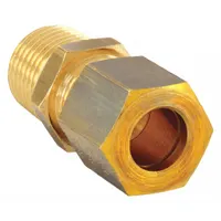 LEGRIS Compression Fitting Adapter: 10 mm OD x 1/8 in Pipe Fitting Size, Compression x MBSPT, 10 PK (MPN 0105 10 10)