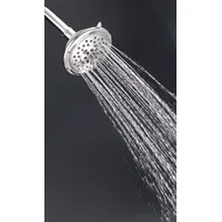 DANZE Fixed Showerhead: Florin, 2 gpm Fixed Showerhead Flow Rate, Brass/Plastic, Chrome Finish (MPN D460035)