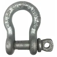 CROSBY Anchor Shackle: Anchor Shackle, 5,330 lb Working Load Limit, 3/4 in Wd Between Eyes, Silver (MPN 1017472)